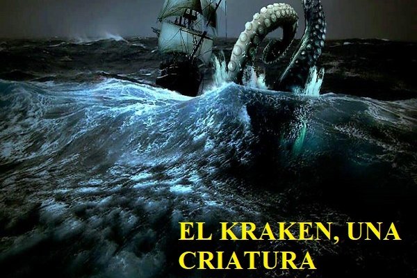 Kraken biz