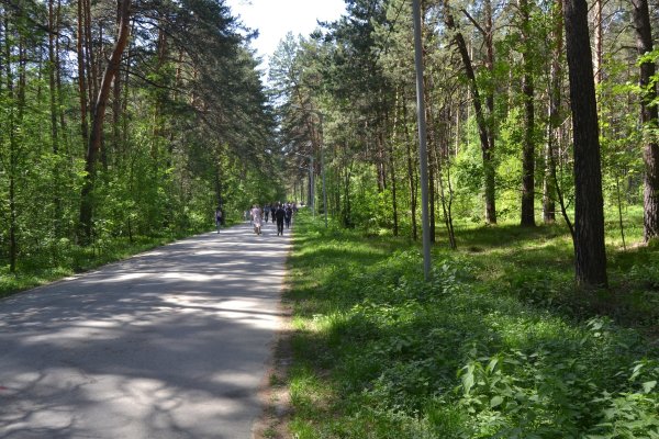 Кракен маркет тор