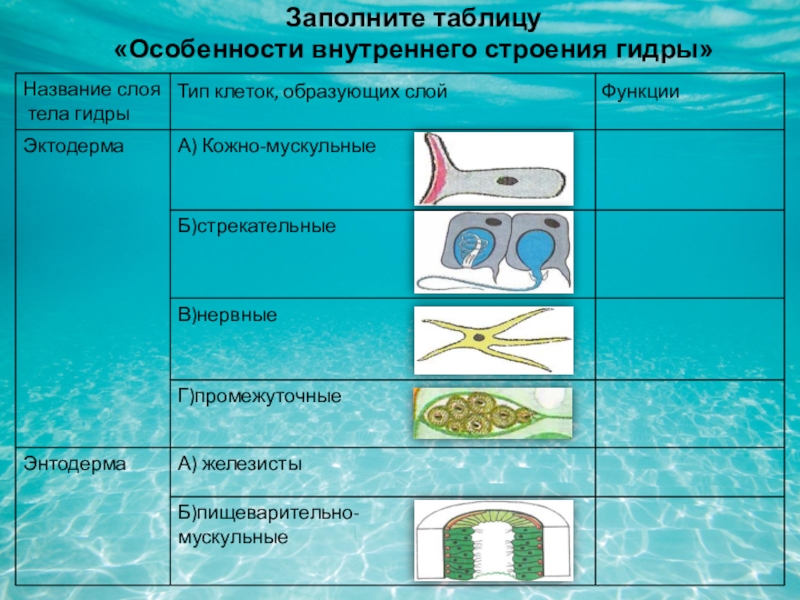 Кракен зеркало маркетплейс